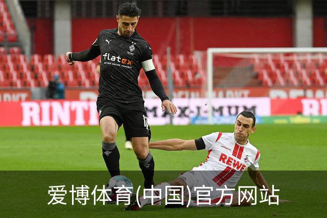 爱博体育(中国)官方网站简介